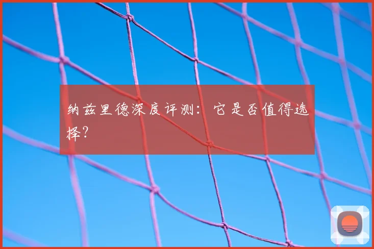 纳兹里德深度评测:它是否值得选择?